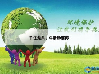 千亿龙头，午后秒涨停！