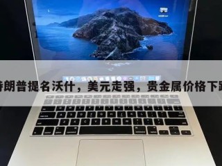 特朗普提名沃什，美元走强，贵金属价格下跌
