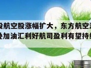 包含港股航空股涨幅扩大，东方航空涨超5%，暑运叠加油汇利好航司盈利有望持续提升的词条